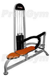 Станок для жима лежа (120 кг) ProfiGym ТГ-0290-C Станок для жима лежа (120 кг) ProfiGym ТГ-0290-C