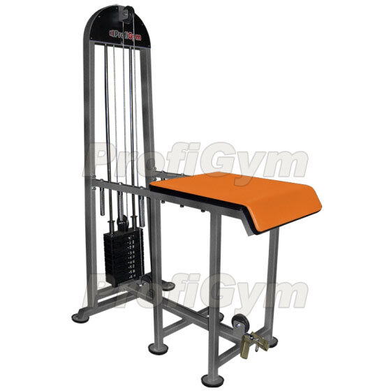 Грузоблочный тренажер Обратная гиперэкстензия ProfiGym ТГ-0470-C