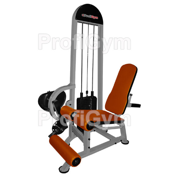 Квадрицепс+бицепс бедра (100 кг) ProfiGym ТГ-0130-C