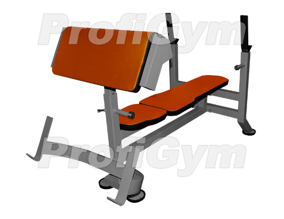 Скамья Скотта + Cкамья для французского жима ProfiGym СК-0290-H